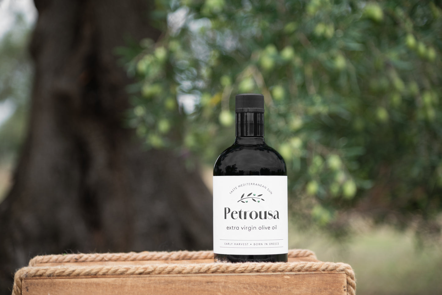 Premium Extra Virgin Olive Oil